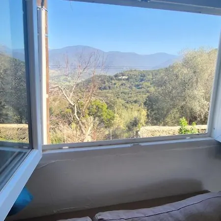 U Casedu Di Ghjuvani *