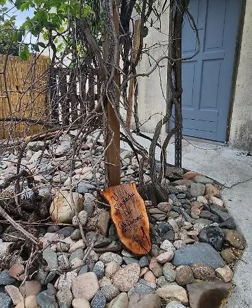 U Casedu Di Ghjuvani *