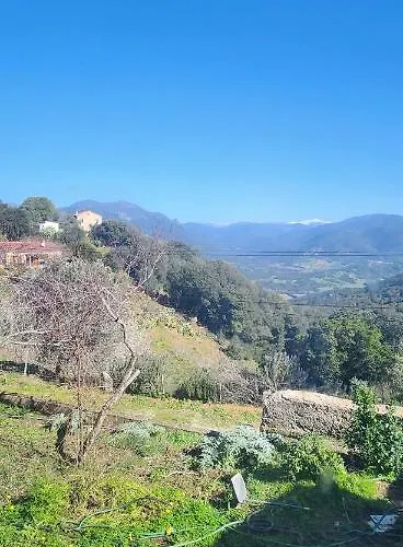 Holiday home U Casedu Di Ghjuvani *